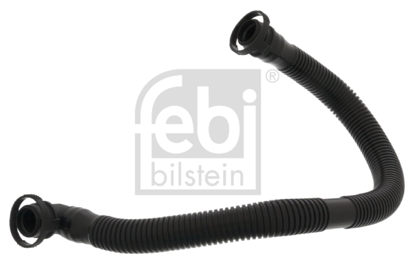 Hose, cylinder head cover ventilation